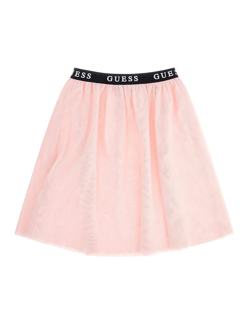 All Over Mesh Skirt